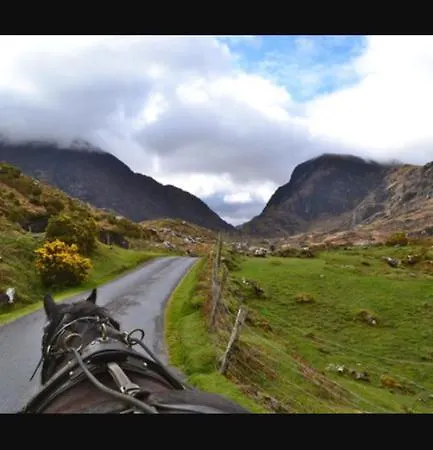 Lejlighed Coll Corran Self-catering Killarney